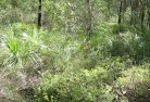 Guildford NSWsustainable-landscaping-21.jpg; ?>